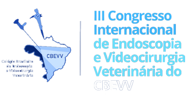 Congresso Internacional CBEVV